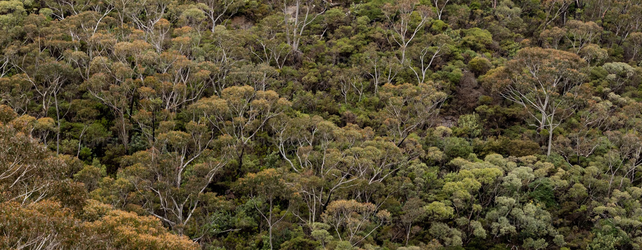 resources-banner_environmentally-consious